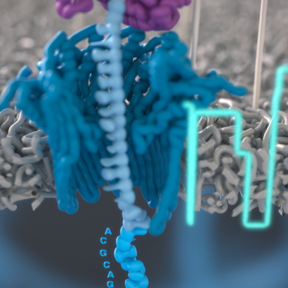 Next-Generation Sequencing for Functional and Translational Genomics