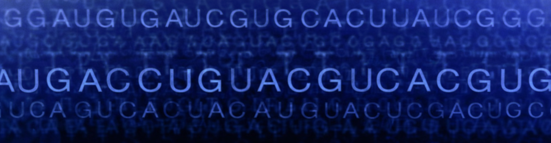 WP2 - RNA-Based Mechanisms in Health and Disease
